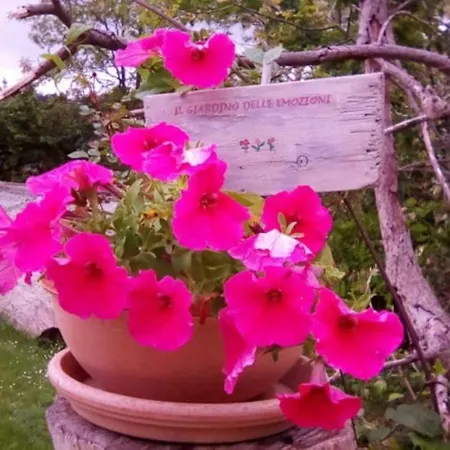 Il Giardino Delle Emozioni *