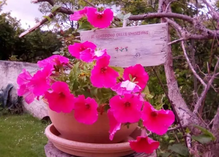 Il Giardino Delle Emozioni *